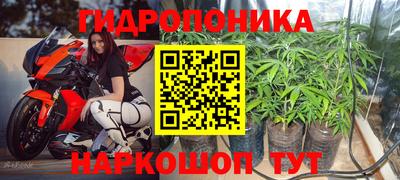 герыч Гатчина
