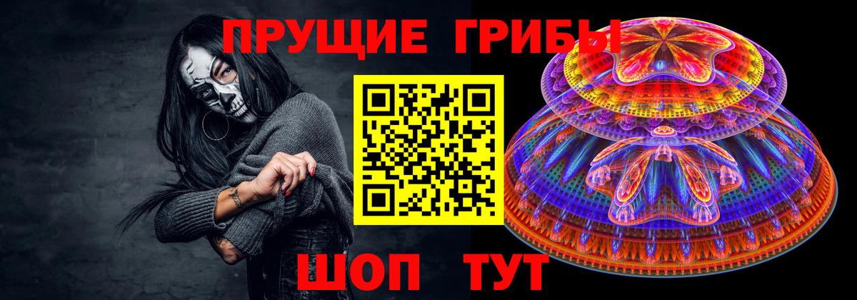 Галлюциногенные грибы Psilocybine cubensis Нефтеюганск